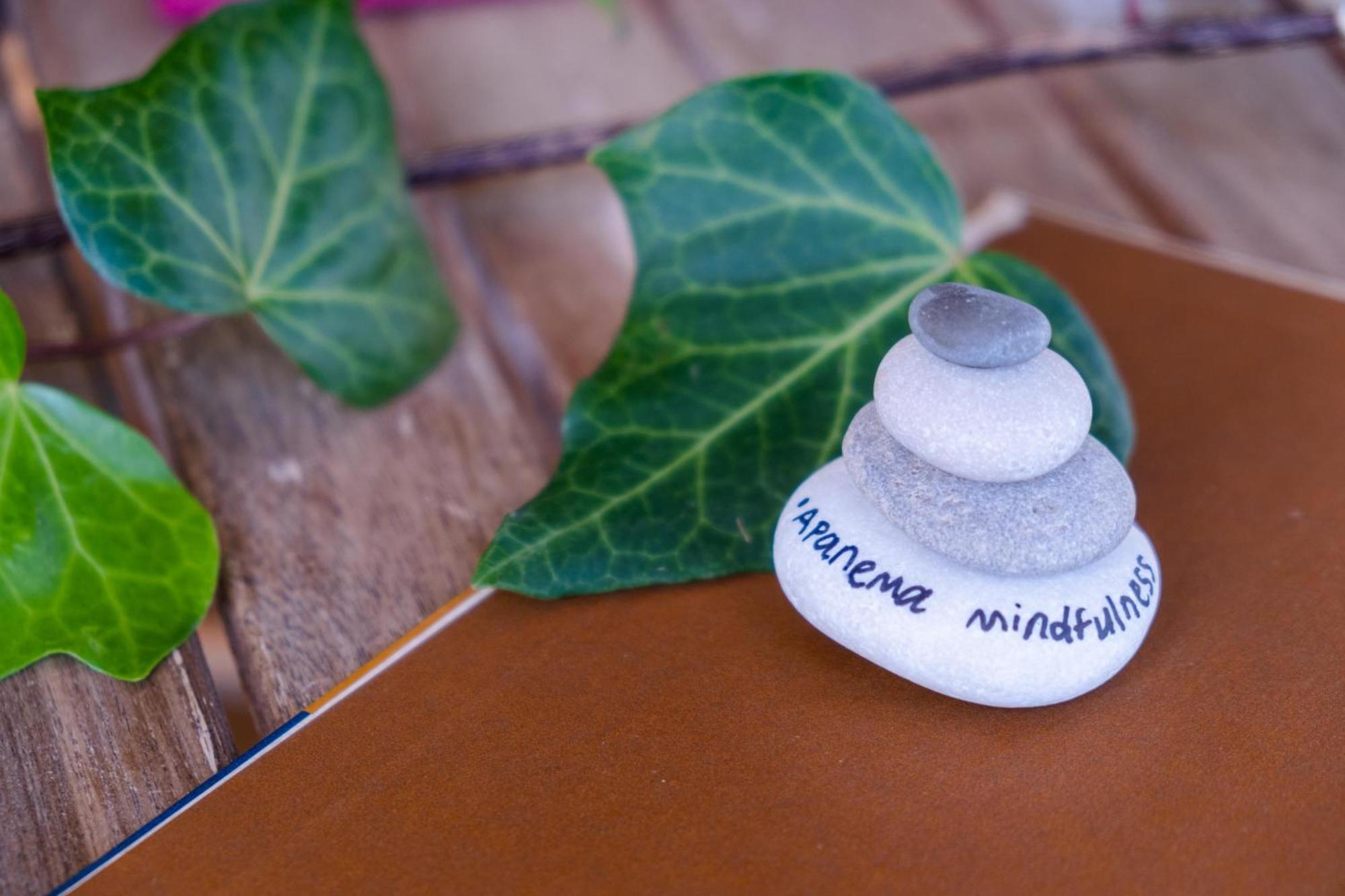 Apanema Mindfulness Resort Lefkada Asprogerakata Exterior foto